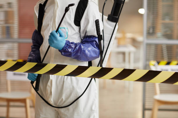 Professional Sewage Cleanup technician working in Laurel, MD